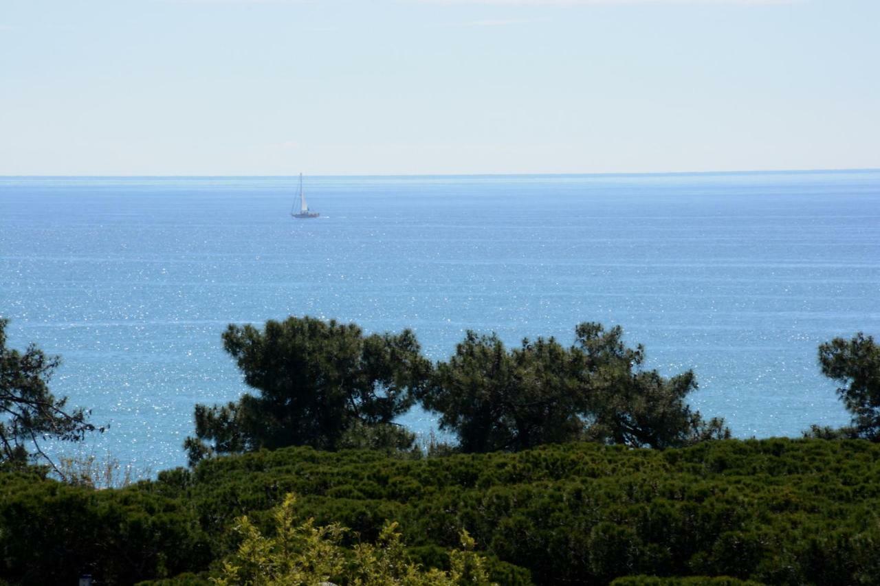 Don Angel - Adults Recommended Hotel Santa Susanna Bagian luar foto